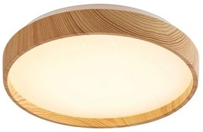 Rabalux 71143 - LED Stropné svietidlo LEANA LED/12W/230V 3000K pr. 26 cm