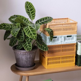 Made Crate Skladacia prepravka Toffee – midi