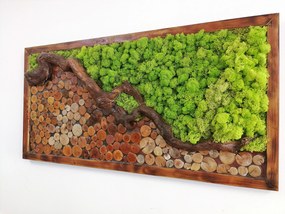 Machovo-drevený obraz 50cm x 100cm