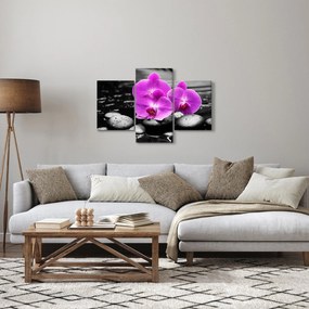 Obraz - Fialové orchidey (90x60 cm)