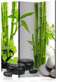 Artgeist Paraván - Bamboos and Stones [Room Dividers]