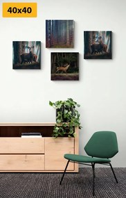 Set obrazov čaro lesných zvierat - 4x 40x40