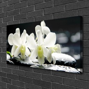 Obraz Canvas Kamene kvety orchidea 125x50 cm