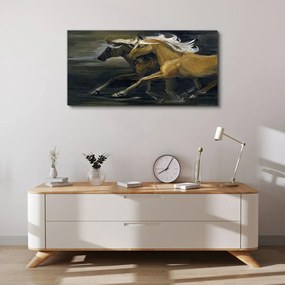 Obraz canvas Abstrakcie zvierat Kone