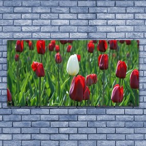 Obraz plexi Tulipány kvety príroda 120x60 cm