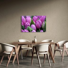 Obraz - kvety tulipánov (90x60 cm)