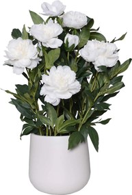 Umelá pivonka v krémovom kvetináči PEONY, výška 70 cm, biela