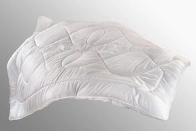 Brotex set Luxus Plus 140x200/70x90 cm celoročný 1000g