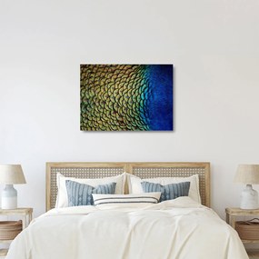 Sklenený obraz - Pávie perie (70x50 cm)
