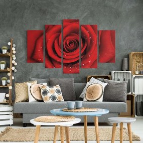 Manufakturer -  Päťdielny obraz Červená ruža s kvapkami vody