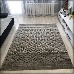 Dekorstudio Moderný koberec RIO vzor 166 sivý Rozmer koberca: 180x260cm