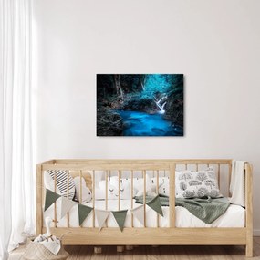 Obraz - Magická noc v tropickom lese (70x50 cm)