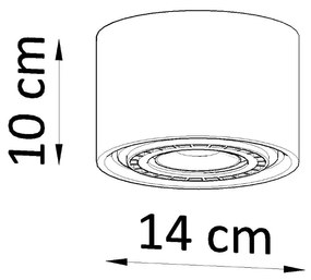 Sollux Lighting Plafón BASIC 1 prírodné drevo