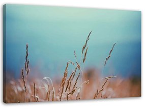 Gario Obraz na plátne Čepele trávy Rozmery: 60 x 40 cm