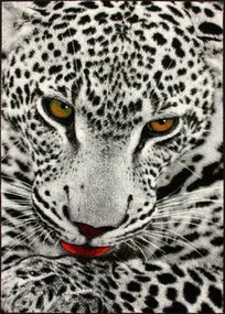 Koberec KOLIBRI 11122/190