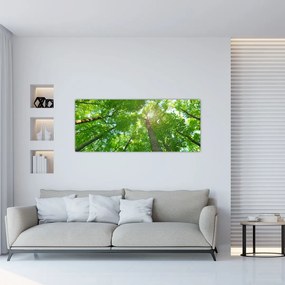 Obraz - Les (120x50 cm)