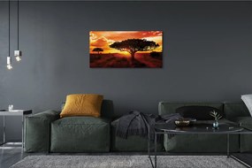 Obraz canvas Stromy mraky západ 140x70 cm