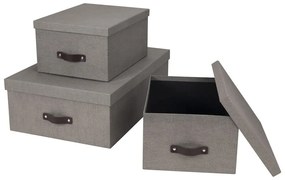 Úložné boxy s vekom v súprave 3 ks Inge – Bigso Box of Sweden