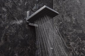 Hansgrohe Pulsify E, hlavová sprcha 260 2jet s pripojením na stenu, chrómová, HAN-24350000