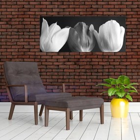 Obraz - Čiernobiele kvety tulipánov (120x50 cm)