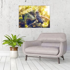Sklenený obraz sovy na strome (70x50 cm)