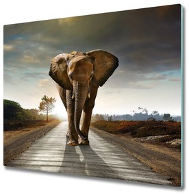 Sklenená doska na krájanie Procházka slonom 60x52 cm