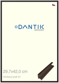 DANTIK rám na obraz 29,7x42 | ALU Hnědá matná (Plexi Čiré)