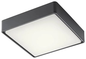 Redo 90157 - LED Vonkajšie stropné svietidlo MARINA LED/12W/230V IP65 antracit