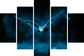 Obraz letiacej sovy (150x105 cm)