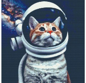 Gario Diamantové maľovanie Chcem byť astronautom Rozmery: 50 x 50 cm, Rámovanie: Iba zrolované plátno, Diamanty: Okrúhle