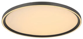 Globo 48802-48 - LED Stmievateľné stropné svietidlo DUBLIN LED/48W/230V + DO