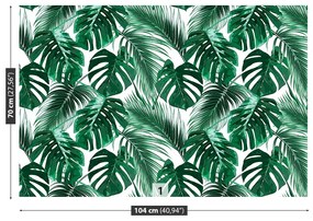 Fototapeta Vliesová Monstera deravá 208x146 cm