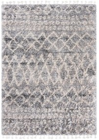 Kusový koberec shaggy Apache svetlo sivý 160x229cm