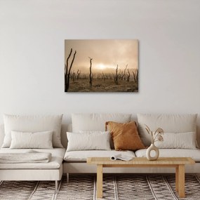 Obraz - Holé stromy (70x50 cm)