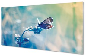 Obraz na akrylátovom skle Farebný motýľ 100x50 cm