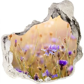 Samolepiaca nálepka na stenu Poľné kvety nd-p-70602610