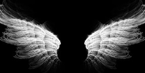 Obraz anjelské krídla v čiernobielom prevedení