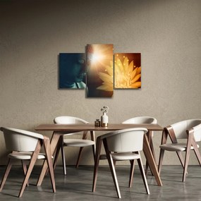 Obraz - Mier (90x60 cm)
