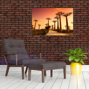 Obraz - Západ slnka v uličke Baobab (90x60 cm)
