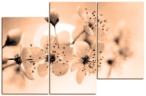 Obraz na plátne - Malé kvety na vetve 1173FD (135x90 cm)