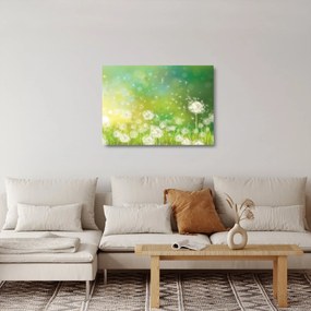 Sklenený obraz - Odkvitnuté púpavy (70x50 cm)