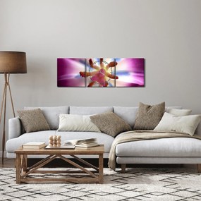 Obraz - Kvet tulipánu v detailu (s hodinami) (90x30 cm)