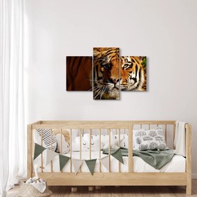 Obraz tigra (90x60 cm)