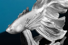 Ozdobná rybka Crowntail 35cm strieborná