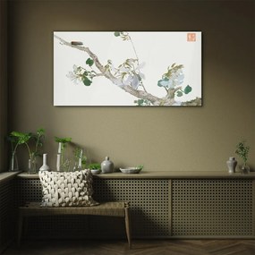 Sklenený obraz Hmyz a kvety ju lian