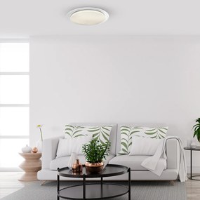 Stropné LED svietidlo Ontario, 1x LED 48w, 3000-6000k, w, s ovládačom