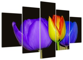 Obraz tulipánov