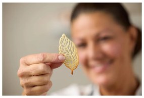 Silikónová forma na pečenie 29x9 cm Latte – Blomsterbergs