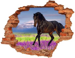 Fototapeta diera na stenu Kôň v poli levandule nd-c-113343357