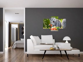 Obraz lemura (90x60 cm)